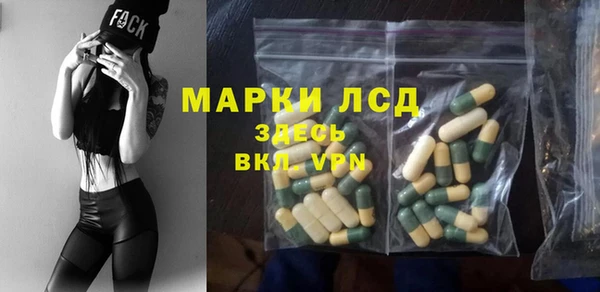 дживик Бородино