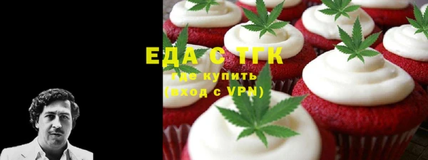 дживик Бородино