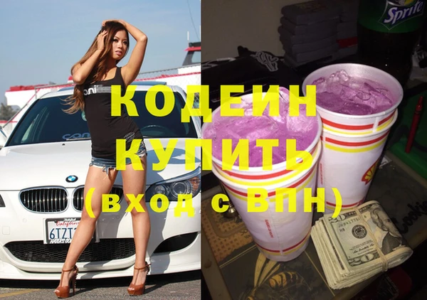 дживик Бородино