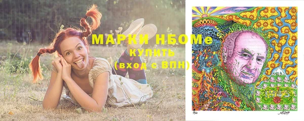 дживик Бородино