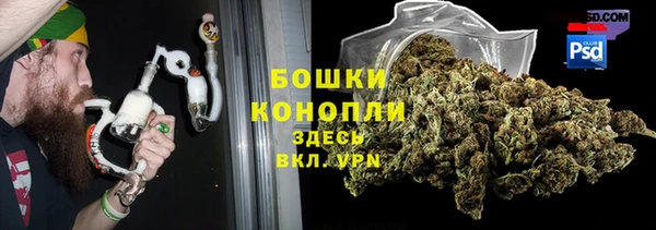 дживик Бородино