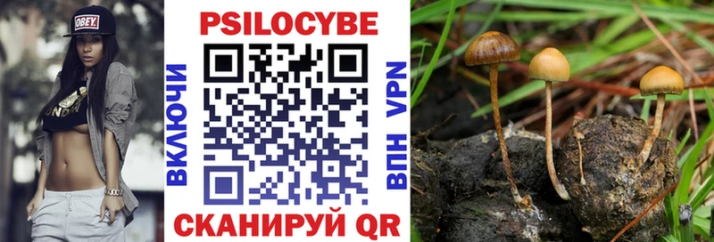 Псилоцибиновые грибы Magic Shrooms  Волоколамск 