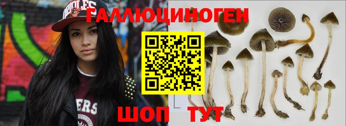Волоколамск  Галлюциногенные грибы Magic Shrooms  Вход с VPN 