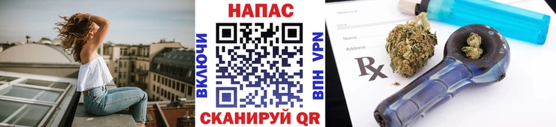 где купить наркоту  Волоколамск  Конопля сатива 